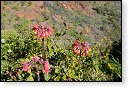 gran canaria spanje Degollada de las Yeguas eiland canarische Eilanden las palmas maspalomas puerto de mogan strand Fuente de Los Azulejos Aguimes la Aldea las nieves tenerife teror